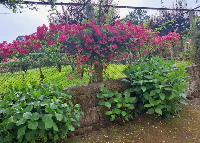 Quinta Do Vale Do Monte
